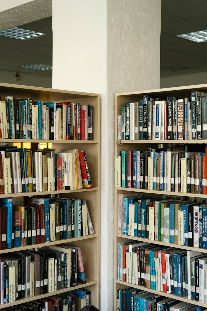 A collection of well-organized books on wooden shelves in a library setting, fostering education and knowledge.