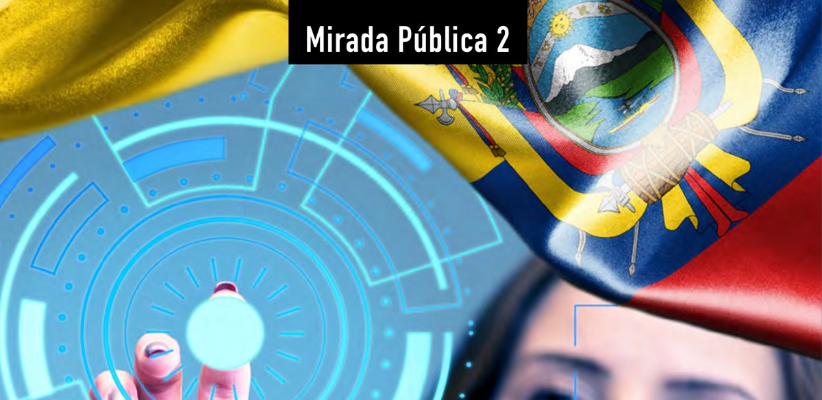 Mirada Pública n.º 2